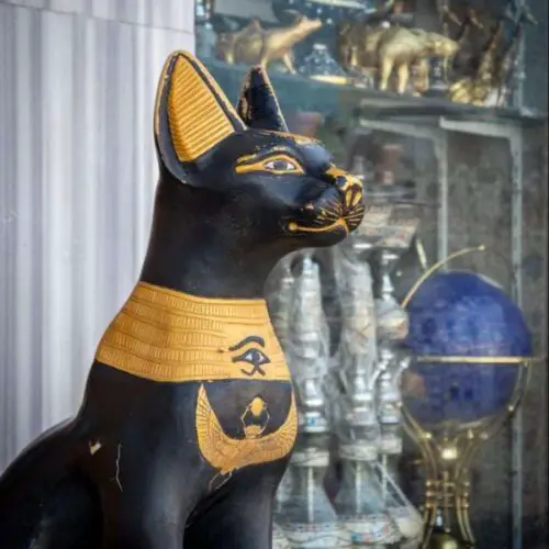 Ägyptische Katzennamen, inspiriert von alten Zeiten