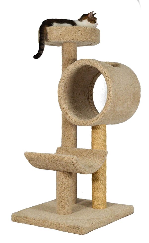 cat tree with curved perch