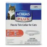 Adams Plus Flea and Tick Collar