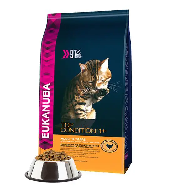 10 Best High Calorie Cat Food to Gain Weight Reviewed in July 2019