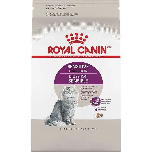 10 Best High Calorie Cat Food To Gain Weight Reviewed In March 2020,Coin Dealers Near Me Open