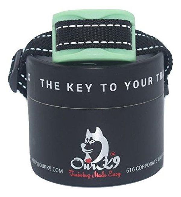 K9 Bark Collar Small Dog