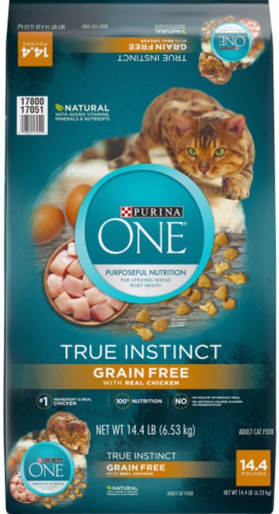 10 Best High Calorie Cat Food to Gain Weight of 2025 | CatsPurfection