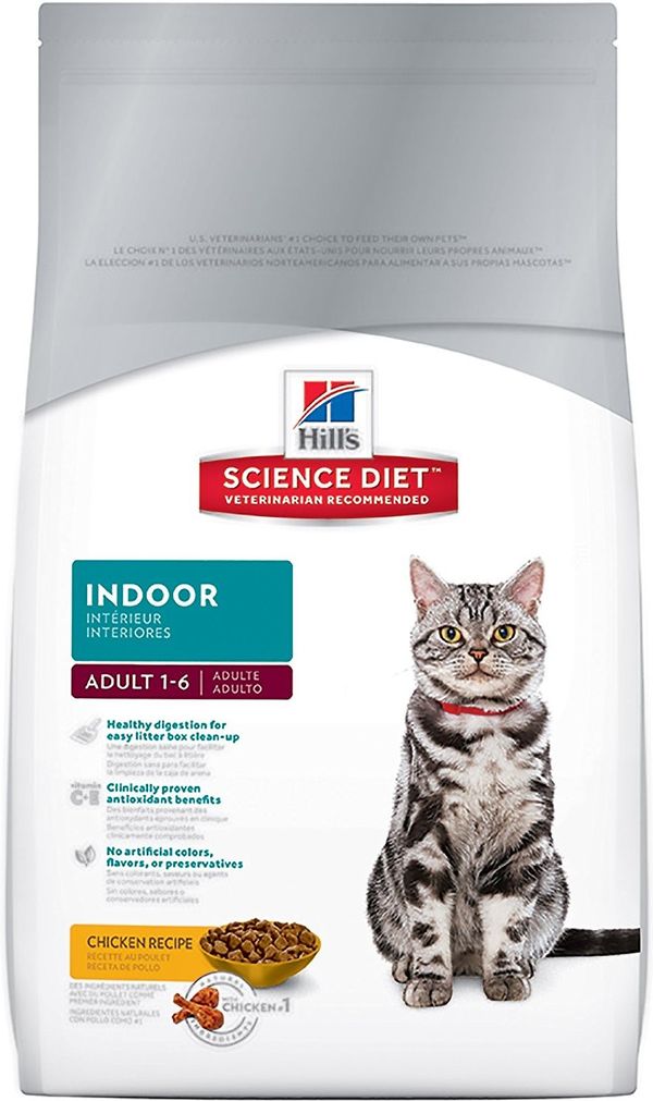 soft chewy dry cat food