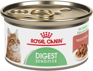 best dry cat food for sensitive stomach diarrhea uk