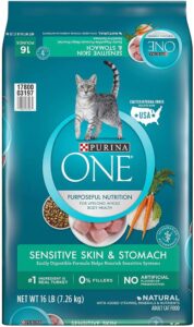 Purina ONE Sensitive Skin & Stomach Dry Cat Food