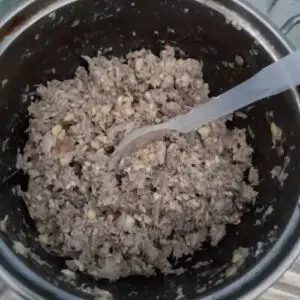 homemade cat food recipe salmon rice