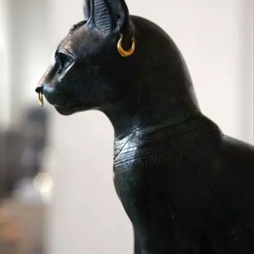 Egyptian Names for Cats Inspired by Ancient Times