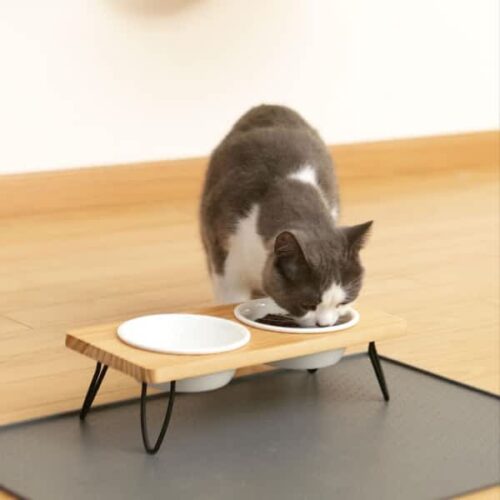 Gravy for Cats The Tastiest Recipes for Your Pet CatsPurfection