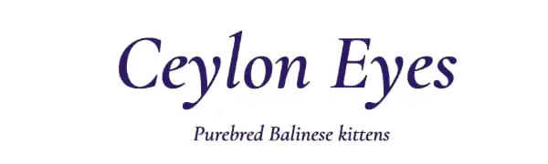 Ceylon Eyes