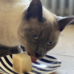 Ice Cat Popsicles