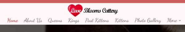 Love Blooms Cattery