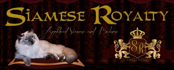 Siamese Royalty