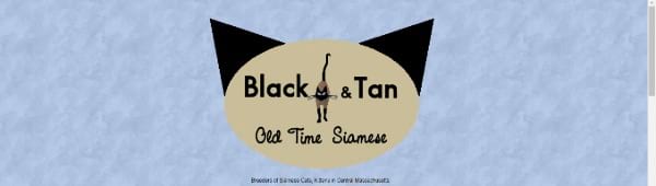 Black & Tan Siamese