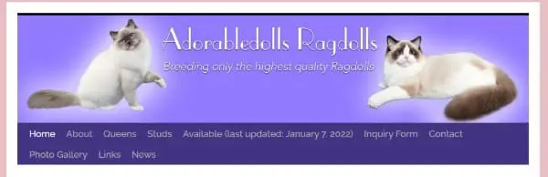 AdorableDolls Ragdolls