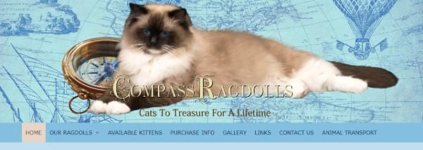 Compass Ragdolls