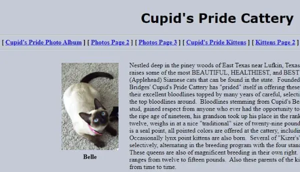 Cupid’s Pride Cattery