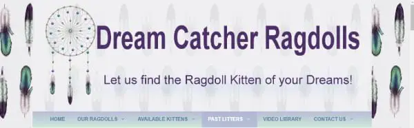 Dream Catcher Ragdolls