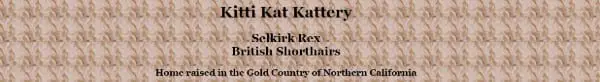 Kitti Kat Kattery