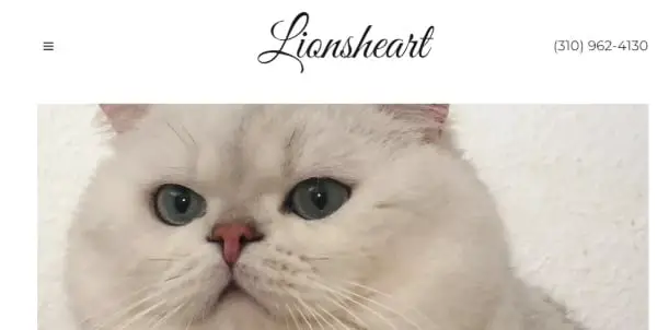 Lionsheart Cattery