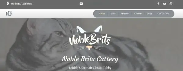 Noble Brits Cattery
