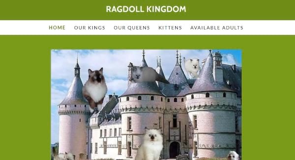 Ragdoll Kingdom