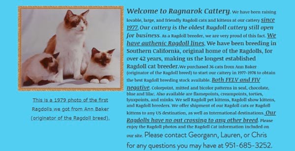 Ragnarok Cattery