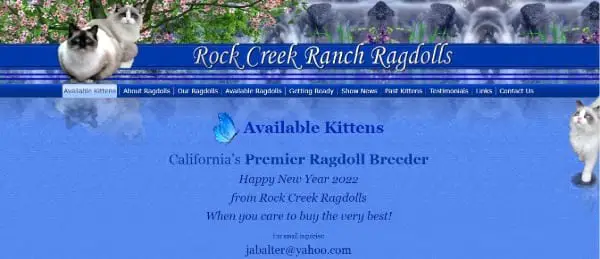 Rock Creek Ranch Ragdolls