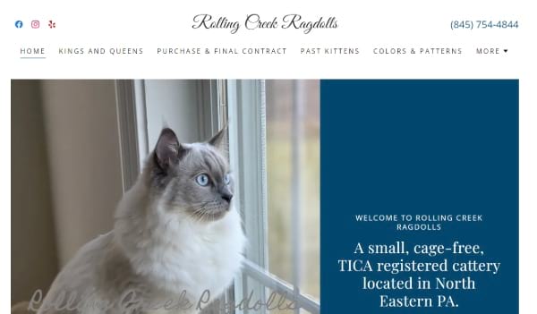 Rolling Creek Ragdolls