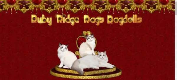 Ruby Ridge Rags Ragdolls