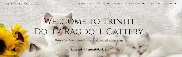 Triniti Dolls Ragdolls Cattery