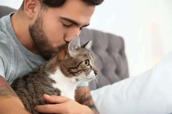 Why Does My Cat Follow Me Everywhere? - FAQs