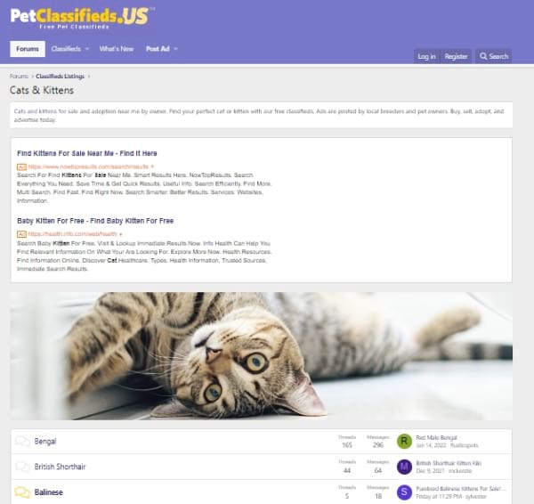 PetClassifides.US