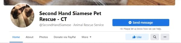 Second Hand Siamese Pet Rescue (CT)