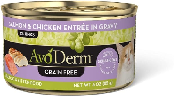 Best Cat Food for Dandruff and Shedding - AvoDerm Natural Grain-Free Salmon & Chicken Entrée in Gravy Wet Cat Food