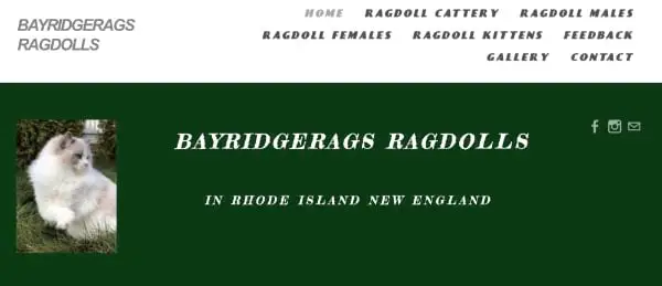 Bayridgerags Ragdolls Cattery