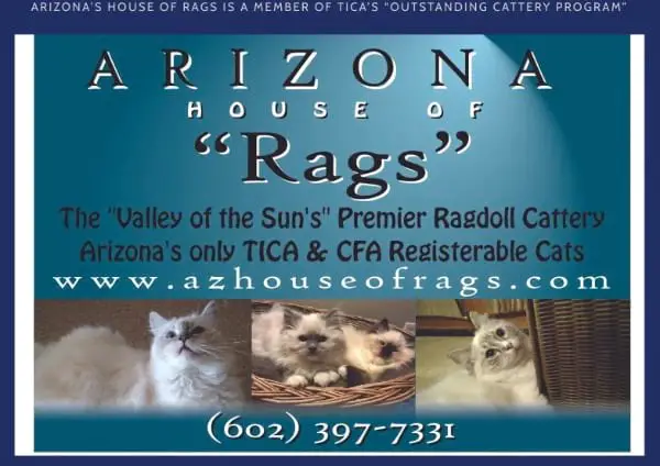 Arizona House of Rags