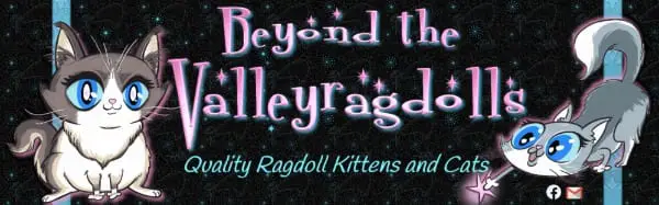 Beyond the Valley Ragdolls