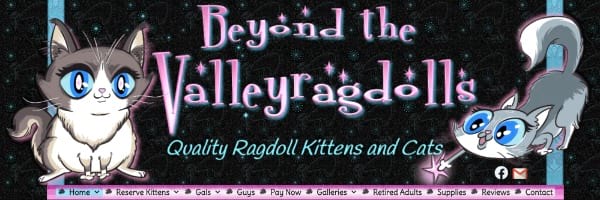 Beyond the Valleyragdolls