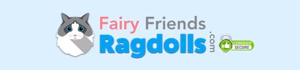 Fairy Friends Ragdolls