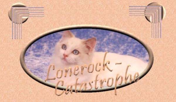 Lonerock-Catastrophe Ragdolls