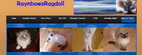 RaynbowsRagdoll