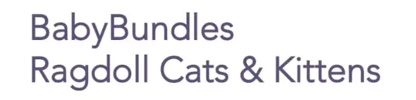 BabyBundles - Ragdoll Cats and Kittens