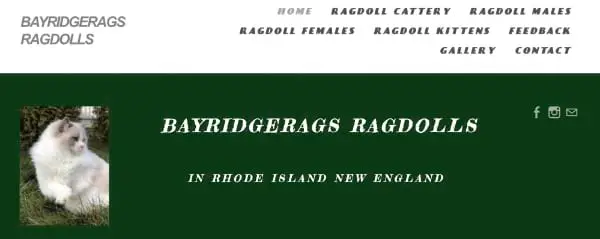 Bayridgerags Ragdolls