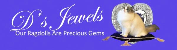 D’s Jewels Ragdolls