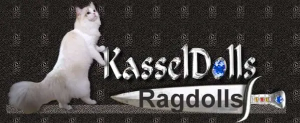 KasselDolls Ragdolls