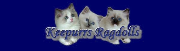 Keepurrs Ragdolls