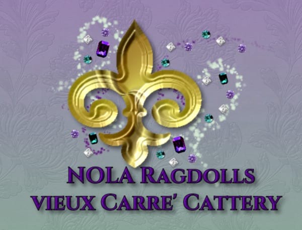 Nola Ragdolls Vieux Carre’ Cattery