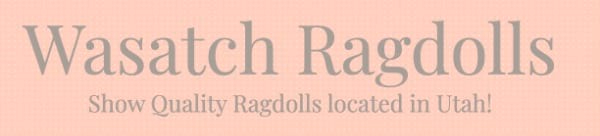 Wasatch Ragdolls